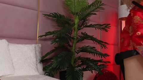 eleineblue @ chaturbate on 20251101