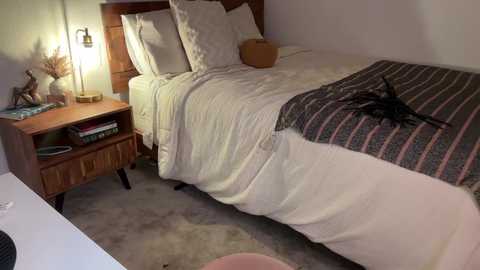 jadelove_ @ chaturbate on 20251101