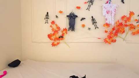 mr_danni_ @ chaturbate on 20251101