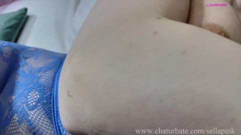 sellapink @ chaturbate on 20251101