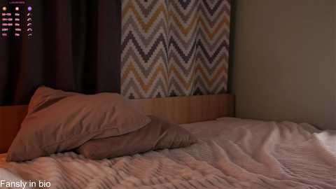 shickshackshock @ chaturbate on 20251101