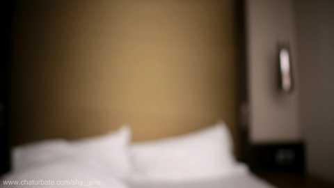 shy_jane @ chaturbate on 20251101