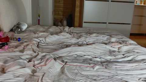 wild41 @ chaturbate on 20251101