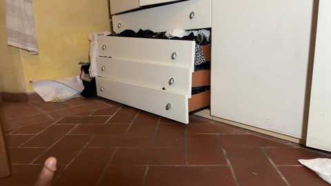 faseremx @ chaturbate on 20251102