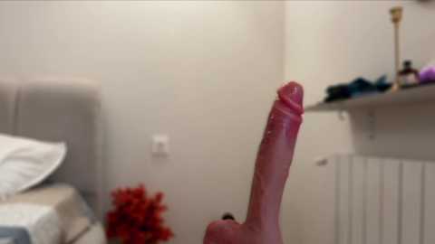 kellyberry__ @ chaturbate on 20251102