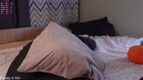 shickshackshock @ chaturbate on 20251102