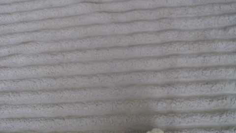 single_fox_4u @ chaturbate on 20251102