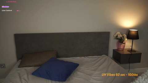 xxxaida @ chaturbate on 20251102