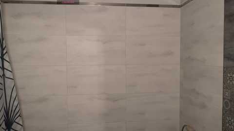 aronyou_win @ chaturbate on 20251103