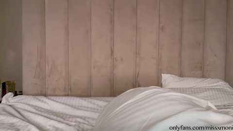 moniqueeass @ chaturbate on 20251103