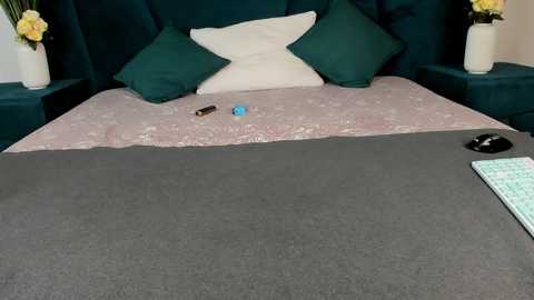 only_eric @ chaturbate on 20251103