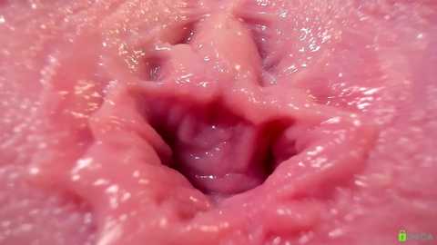 courtney_luv @ chaturbate on 20251104