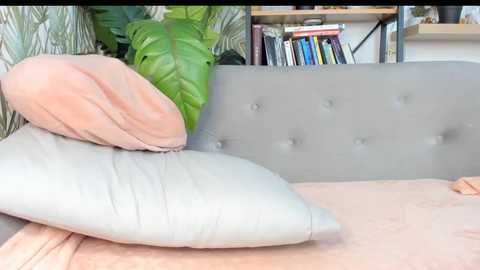 goofyshygirl1 @ chaturbate on 20251104