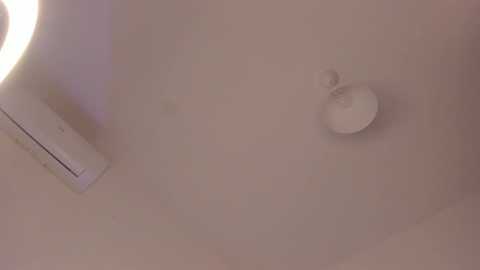 itsbellax @ chaturbate on 20251104