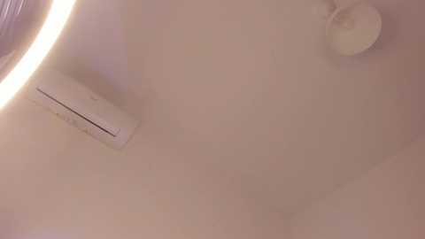 itsbellax @ chaturbate on 20251104