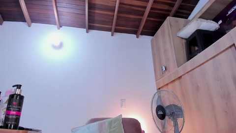 medussa13 @ chaturbate on 20251104