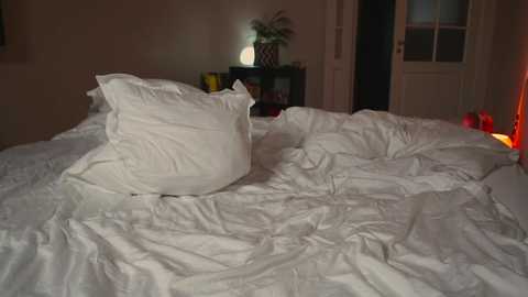 mynaughtynights @ chaturbate on 20251104