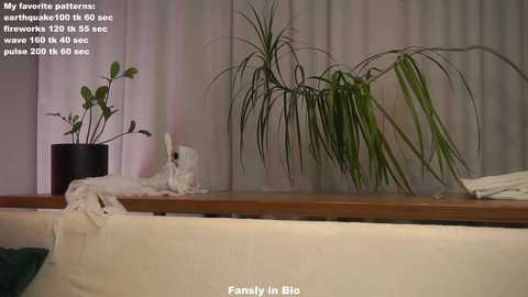 signehinz @ chaturbate on 20251104