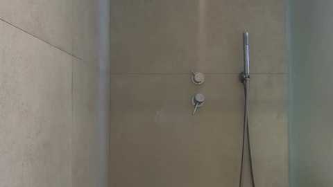 taliavaine @ chaturbate on 20251104