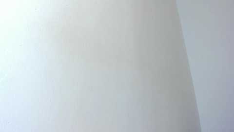 tamy_leen @ chaturbate on 20251104