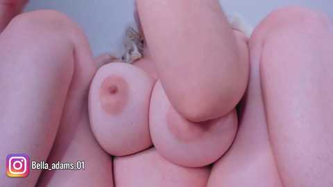 bella_adams_ @ chaturbate on 20251105