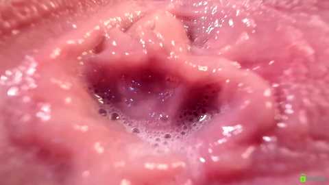 courtney_luv @ chaturbate on 20251105