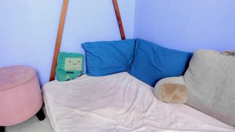 frank_sasha @ chaturbate on 20251105