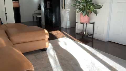 ariajackson @ chaturbate on 20251106