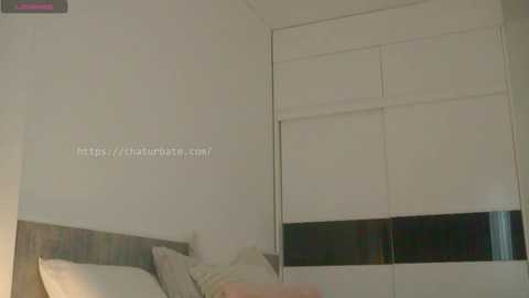 ayumi_dream @ chaturbate on 20251106