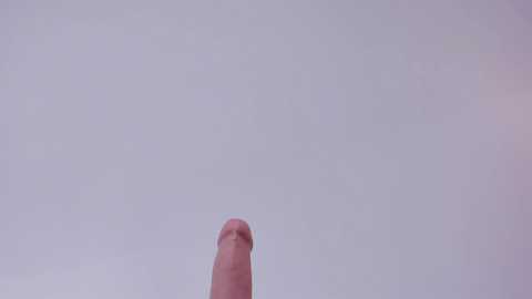 bush_woman @ chaturbate on 20251106