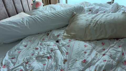 canikissyou_ @ chaturbate on 20251107