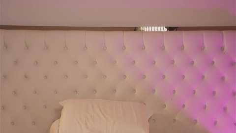 katestars @ chaturbate on 20251107