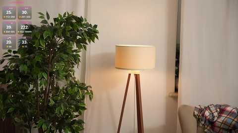 mirandabettman @ chaturbate on 20251107