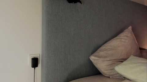 rachel_rey @ chaturbate on 20251107