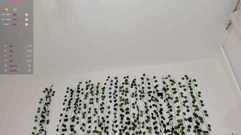 sweet_and_flirt @ chaturbate on 20251107