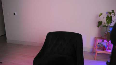 doubedeesarai @ chaturbate on 20251108