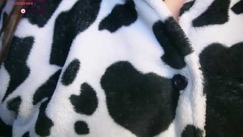 fireand_passion @ chaturbate on 20251108