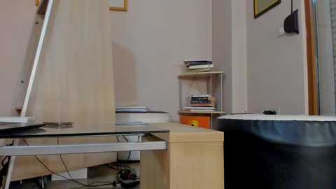 hotel77777 @ chaturbate on 20251108