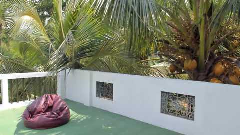 lynn_jackson @ chaturbate on 20251108