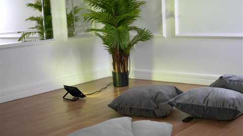 alexxiskye @ chaturbate on 20251109