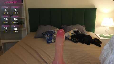 eleanor_smith @ chaturbate on 20251109