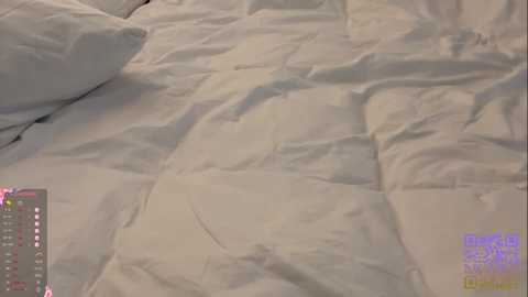 emeraldcotton @ chaturbate on 20251109