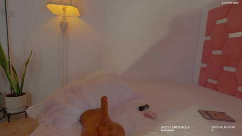 nicolle_mitchelle @ chaturbate on 20251109
