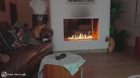 nuryforerogh @ chaturbate on 20251109