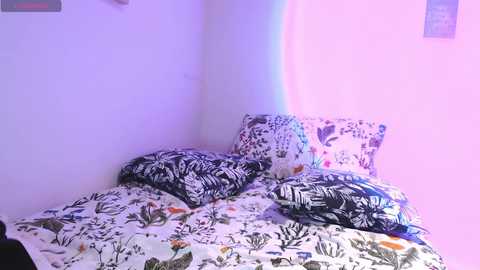 ohanna_ @ chaturbate on 20251109