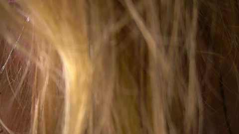 tastypoint @ chaturbate on 20251109