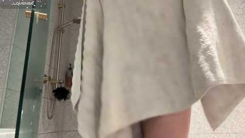 wasianbby @ chaturbate on 20251109