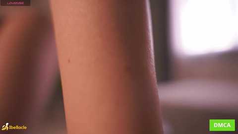 bellacle @ chaturbate on 20251110