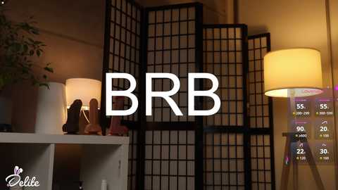 delitevip @ chaturbate on 20251110