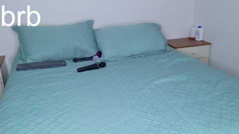 homeofsex_ @ chaturbate on 20251110